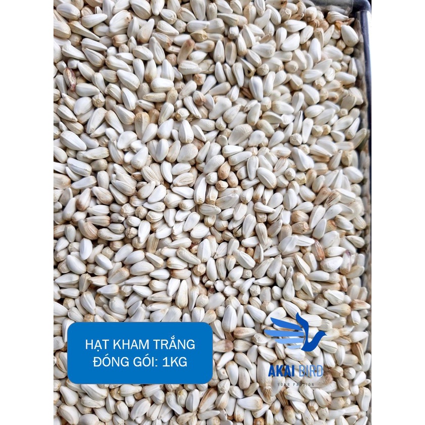 [1KG] Hạt Kham Trắng Cho Vẹt, Hamster, Sóc, Chim Cảnh....