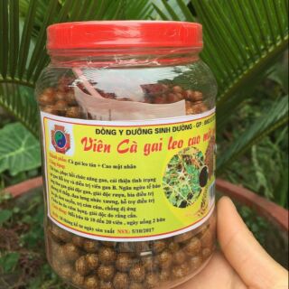 Viên cà gai leo mật nhân