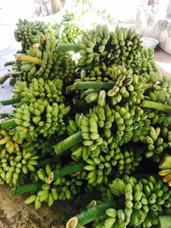 1kg chuối sáp nghệ bến tre