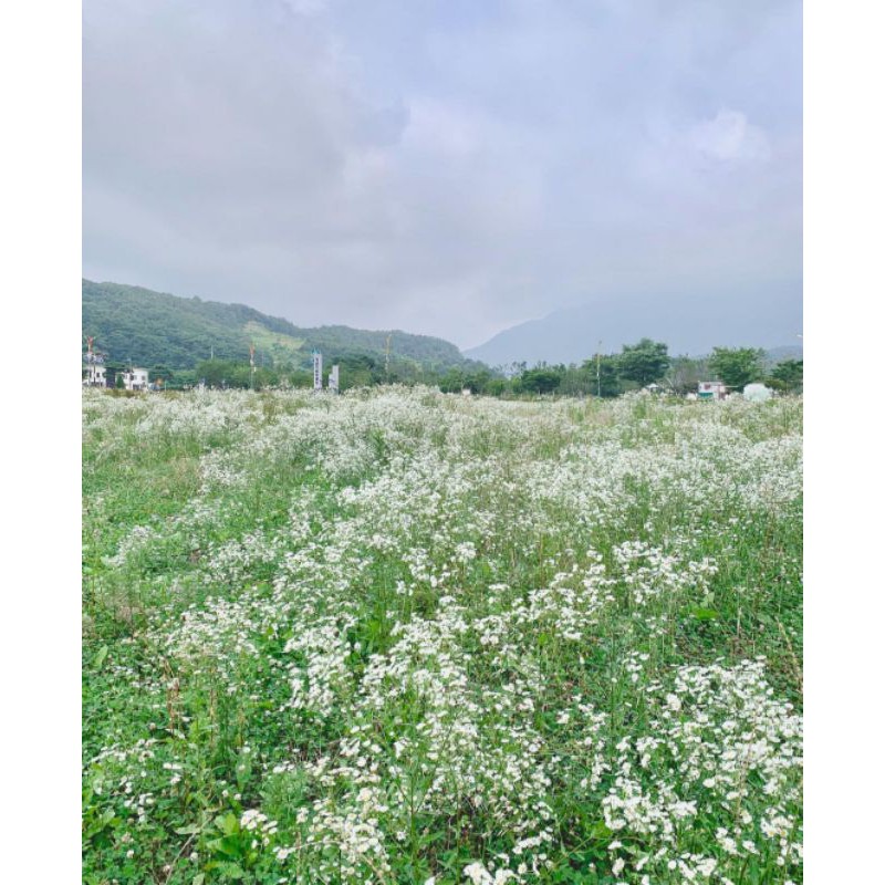 Pass đồ: son ( vui lòng ghi vào mục ghi chú màu son và hãng son)