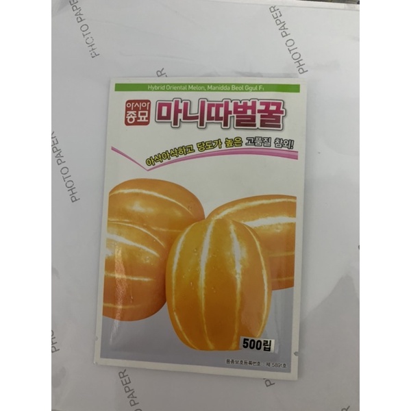 Hạt giống Dưa Lê Hàn Quốc F1 - 10 Hạt - Tỷ lệ nảy mầm 99%