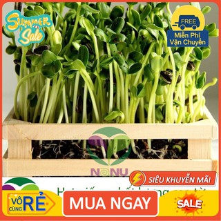 Hạt giống rau mầm Hướng Dương (1Kg) [hàng chất lượng]