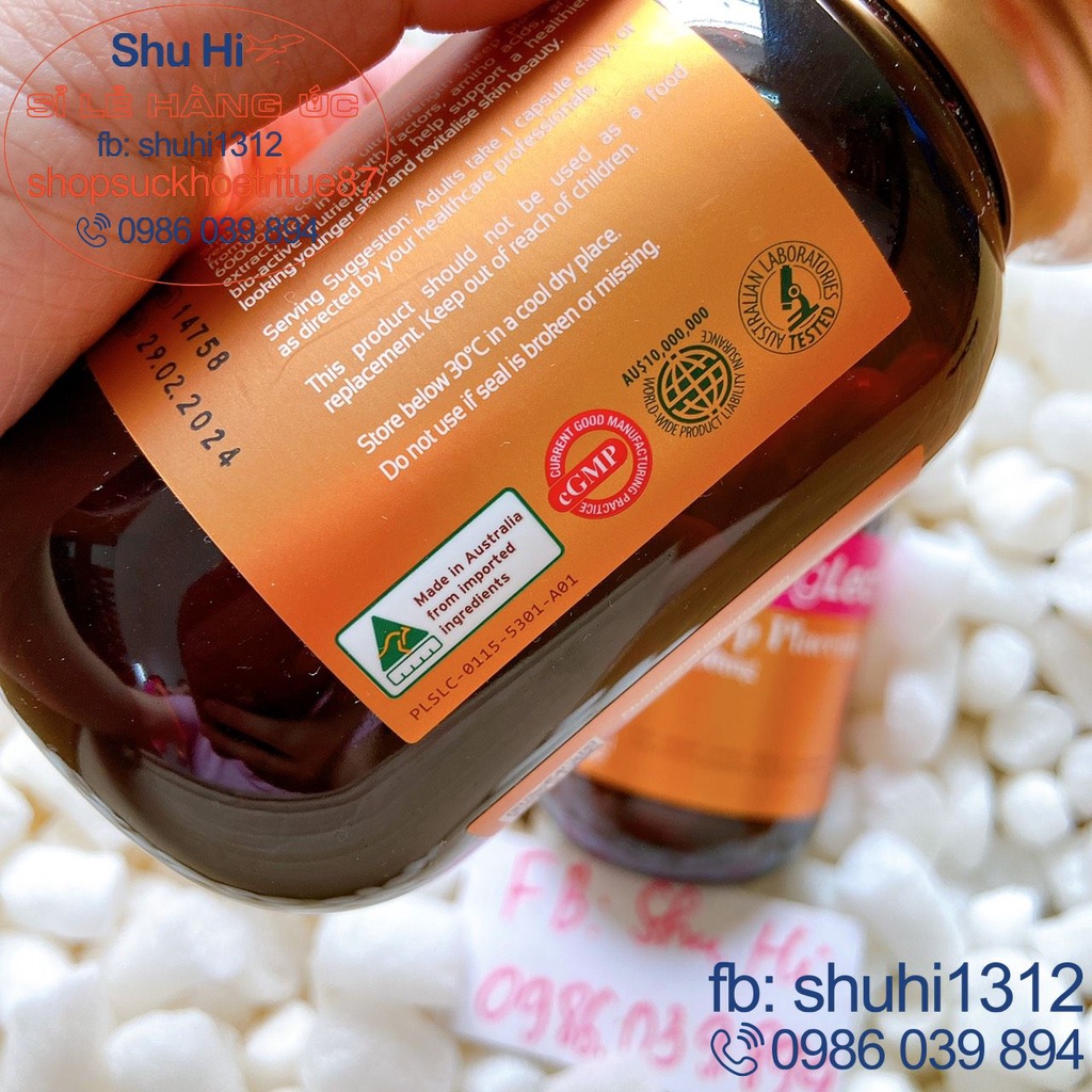 Nhau thai cừu Sheep Placenta SpringLeaf 60000mg 120 viên, 80000mg 90 viên - Úc chính hãng