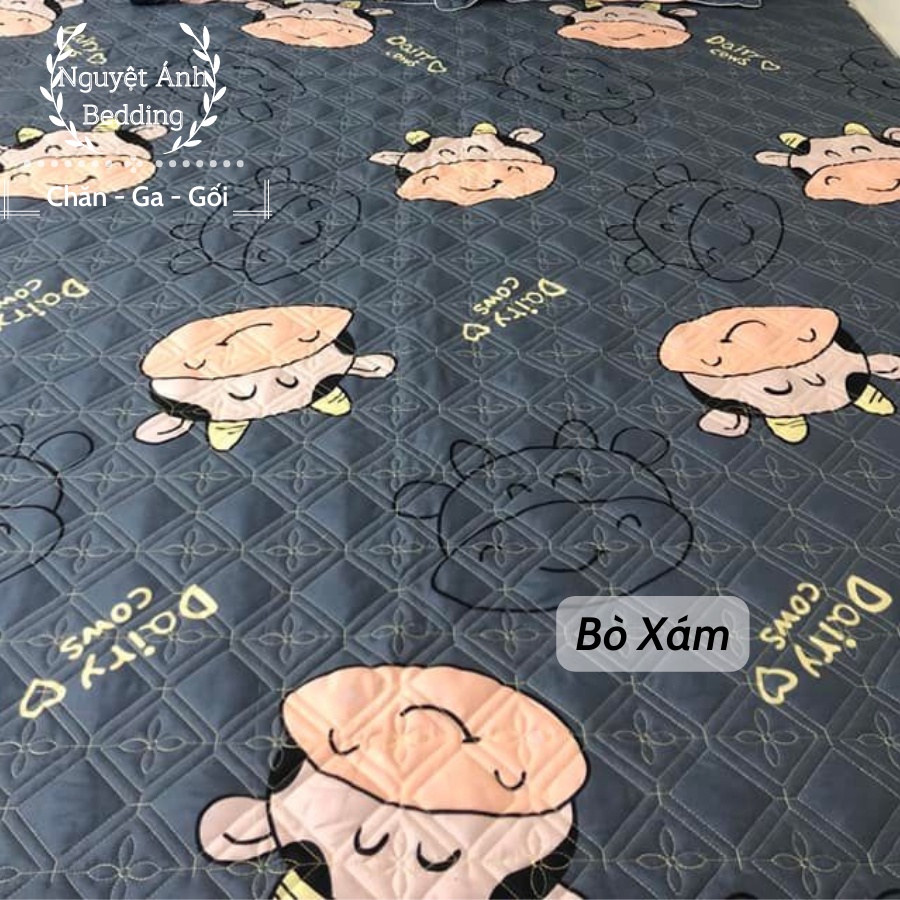 (Giá Sốc)  Tấm Ga Chun Bọc Đệm (Nệm) Được Trần Bông Siêu Dày Dặn Giá Cực Rẻ - Mẫu Cành cúc xanh - Được chọn mẫu