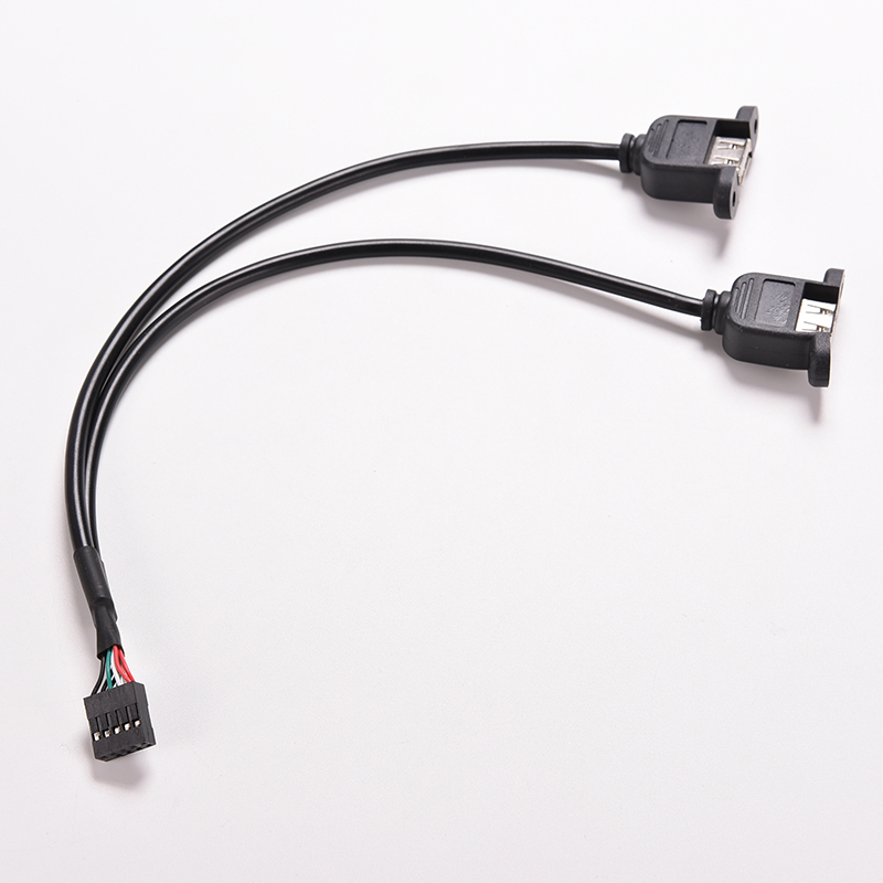 1 Đầu Chuyển Đổi USB A Female Sang 9 Pin Màu Đen 30cm / 1FT 2 Cổng Tiện Dụng