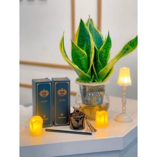 NƯỚC HOA - TINH DẦU THƠM PHÒNG CAO CẤP HILTON