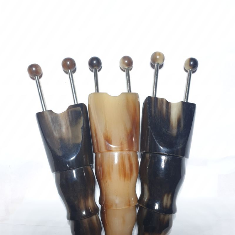 bọ cạp sừng cỡ nhỏ