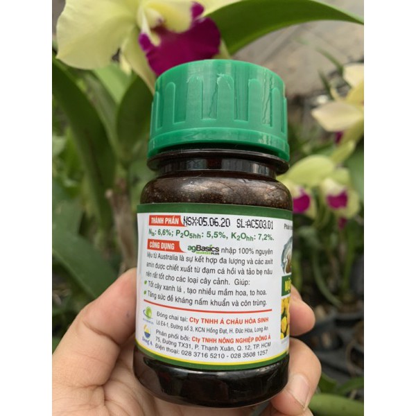 PHÂN BÓN HỖN HỢP CHIẾT XUẤT TỪ ĐẠM CÁ HỒI VÀ CẢI BẸ NÂU  agBasics SEAWEEDPLUS – 2 trong 1