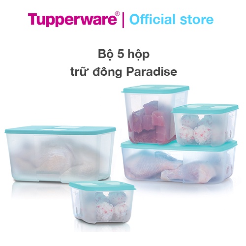 Bộ 5 hộp trữ đông Tupperware Paradise