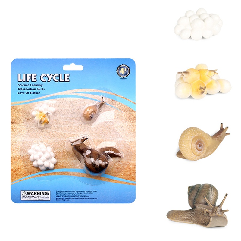 Mô Hình Côn Trùng Bằng Nhựa Đồ Chơi Giáo Dục Cho Bé