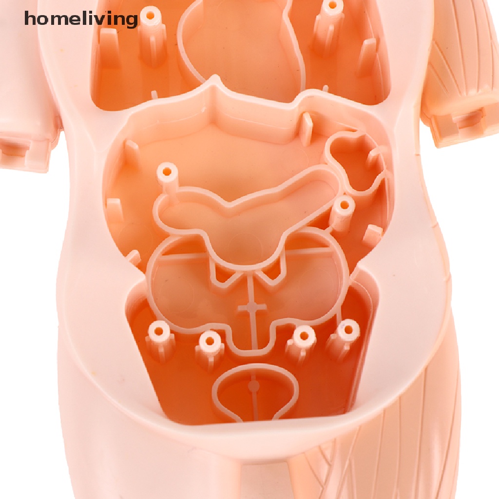 Bộ Đồ Chơi Xếp Hình Cơ Thể Người 3d Montessori