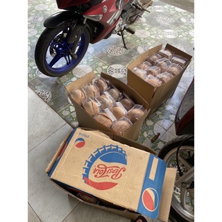 Bánh plan rau câu trái dừa