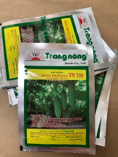 Hạt giống Dưa Leo (Dưa Chuột)