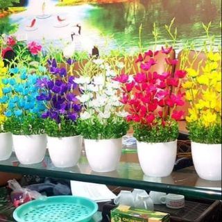 Nguyên liệu làm hoa