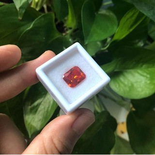 Hộp đựng đá nhựa hộp kính đá quý hộp đựng đá 3cm 6cm 9cm.