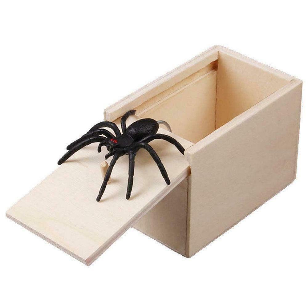 Hộp Đồ Chơi DAPHS Spider Scare Ẩn Trong Trường Hợp