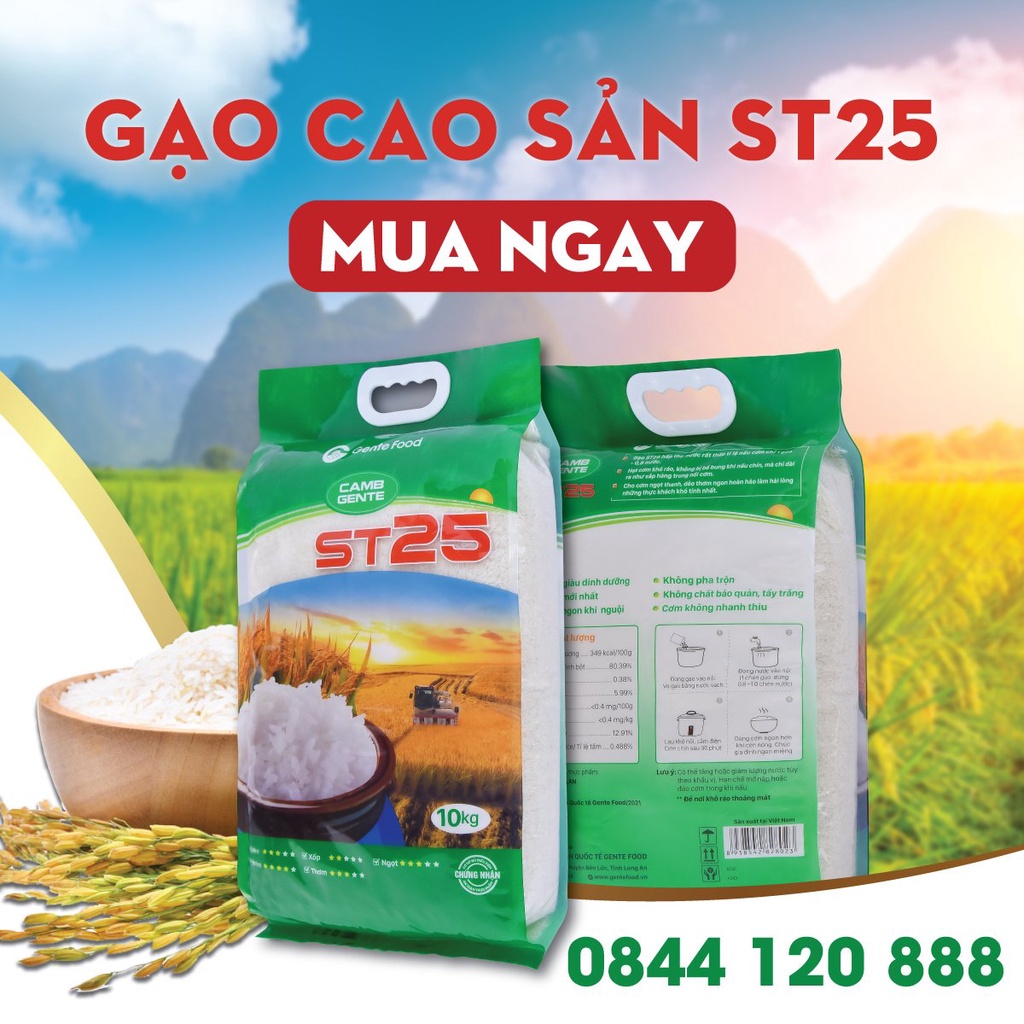 Gạo ngon ST25 Gente Food Túi 10kg