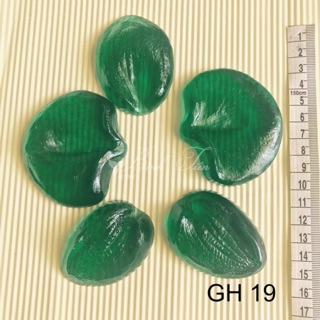 GÂN CÁNH HOA LAN HỒ ĐIỆP