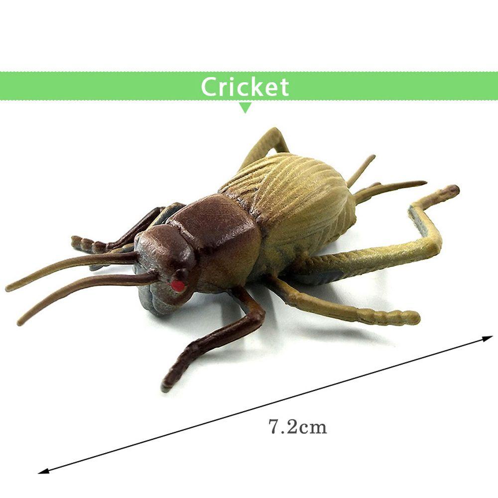 Mô Hình Côn Trùng / Ngựa / Khủng Long Đồ Chơi Giáo Dục Cho Bé