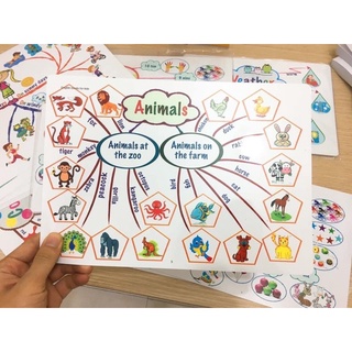 MINDMAP 11 CHỦ ĐỀ