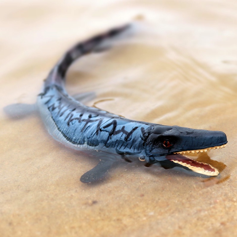 Đồ Chơi Mô Hình Khủng Long Mosasaurus Dành Cho Bé