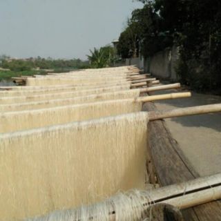 Miến dong