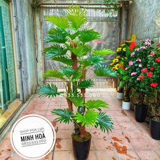 Cây cọ xoắn 1m8 thân nhựa được bọc bằng sơ cây thật-Cây giả trang trí nhà cửa- Ko kèm chậu