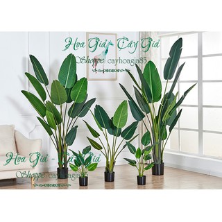 Cây Giả - Cây Chuối Cảnh Giả Trang Trí