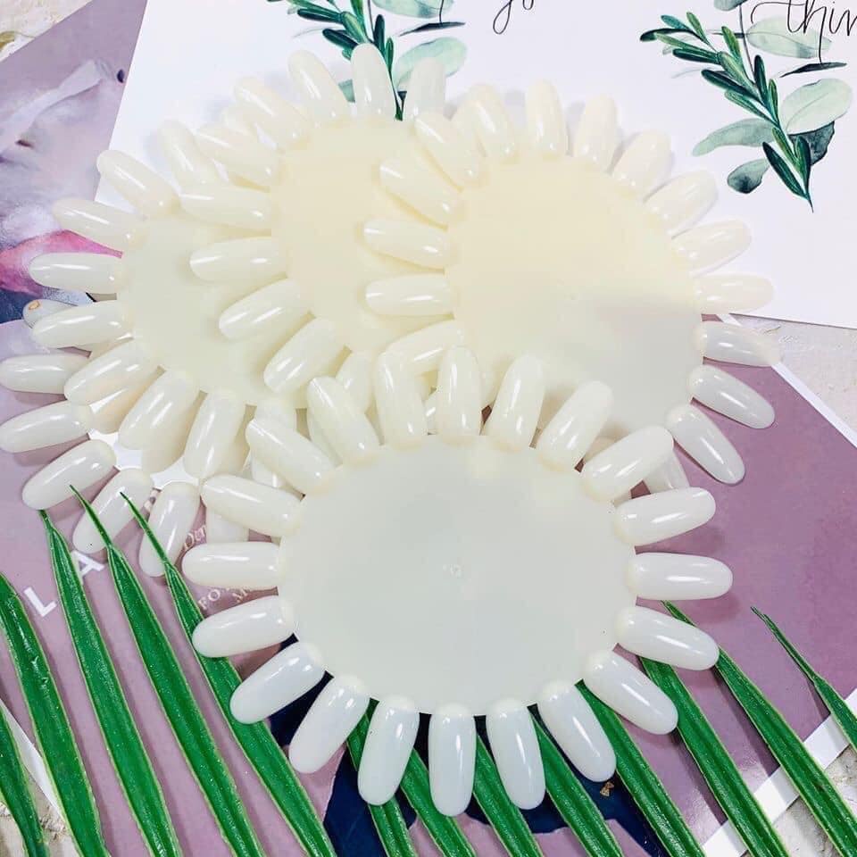 Móng mẫu tập vẽ vỉ tròn  1 Gói 200 Móng