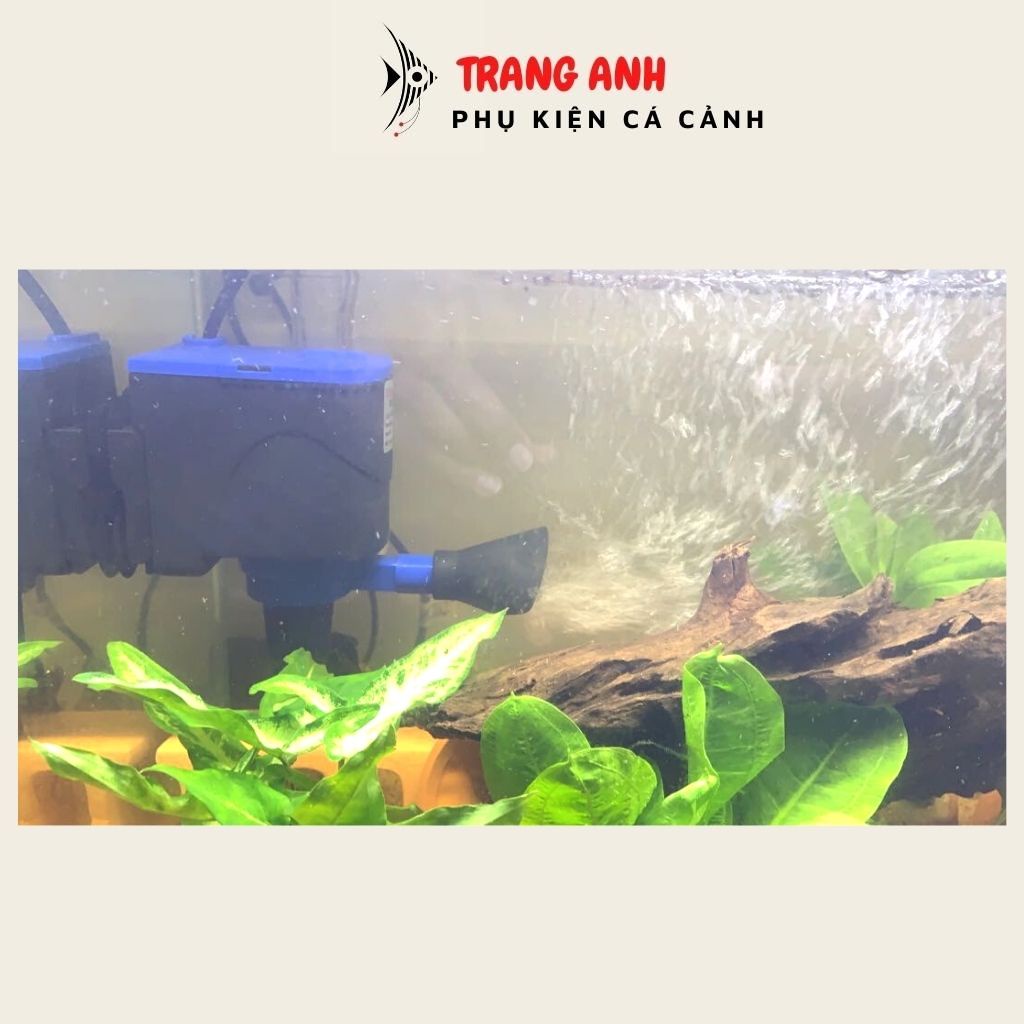 Máy bơm bể cá RS 9900, RS 6600 - MÁy bơm lọc nước cho bể cá cảnh 3 chức năng, hàng chính hãng