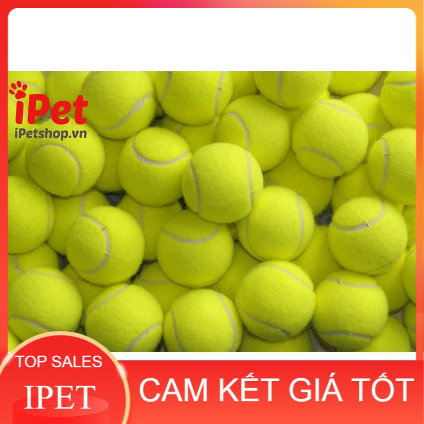 Đồ chơi banh tennis cho chó mèo - iPet Shop