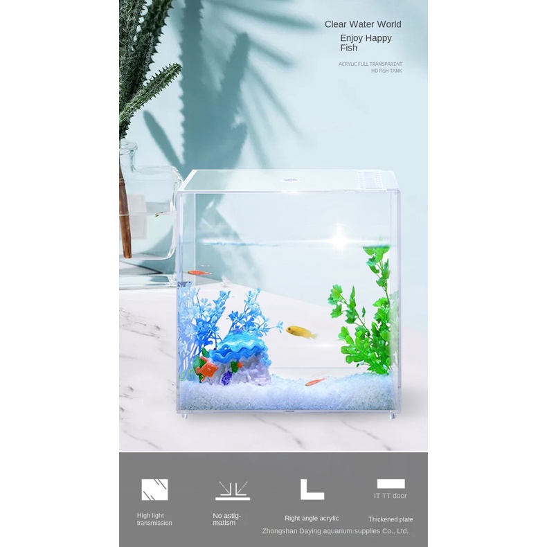 Hộp Nuôi Cá Cách Ly Đa Năng Tiện Lợi