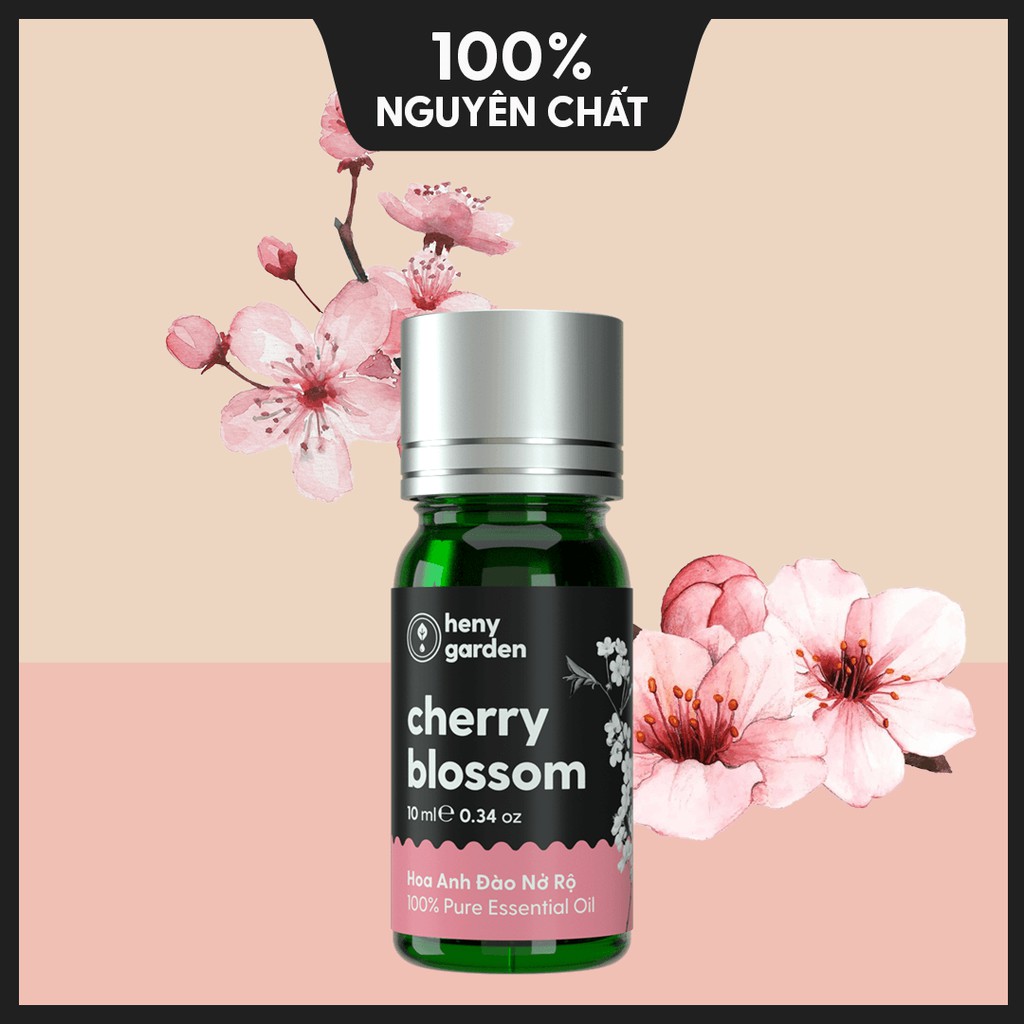 Tinh Dầu Hoa Anh Đào Organic Thiên Nhiên Nguyên Chất Đậm Đặc Xông Thơm Phòng, Làm Nến Thơm HENY GARDEN