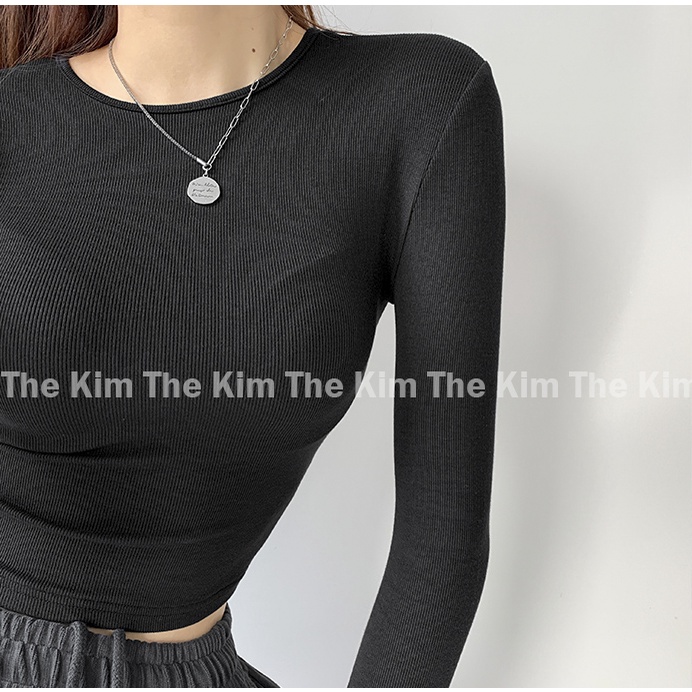 Áo thun tăm trơn cổ tròn dài tay dáng croptop nhiều màu , thun basic cho nữ ôm sát body tôn dáng sexy AD119