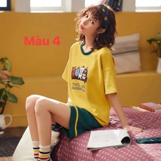 Combo 5 bộ đồ 830k