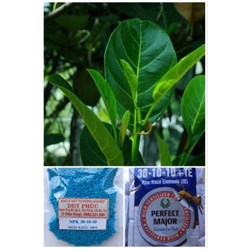 PHÂN NPK nhập khẩu TAN NHANH