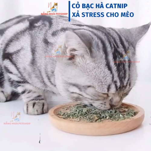 Catnip, cỏ bạc hà cho mèo giảm tress, ống 45ml