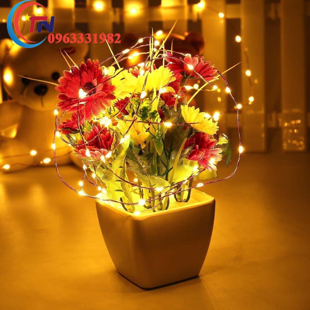 Dây đèn trang trí bóng LED Fairy Light