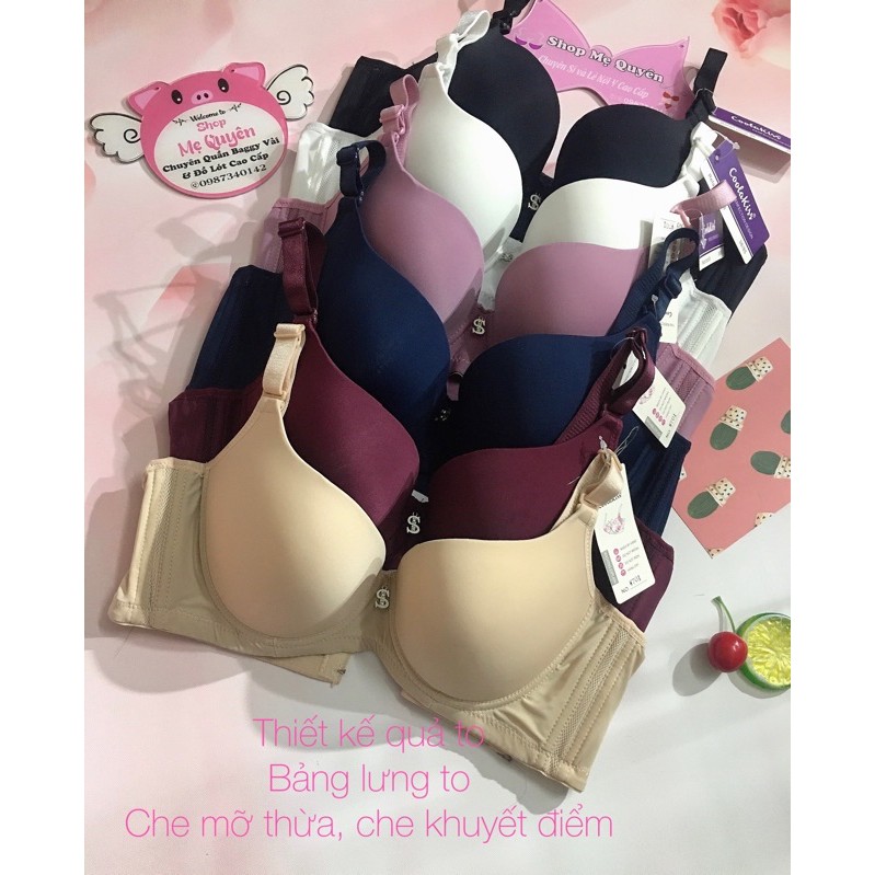 [Mút mỏng] Áo ngực quả trơn chống xệ- có BIGSIZE