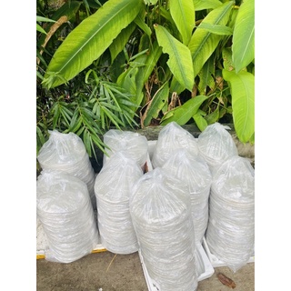 Bánh Tráng Phơi Sương