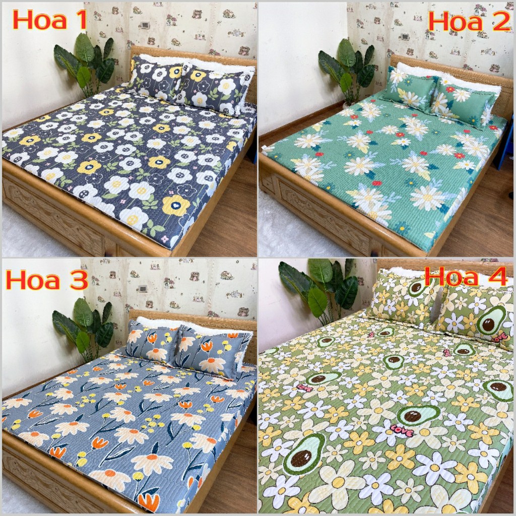 Bộ ga chun trần bông và 2 vỏ gối, ga giường cotton 100% đủ size nệm 1m2 1m4 1m6 1m8 2m2 Dreamhomedding | BigBuy360 - bigbuy360.vn
