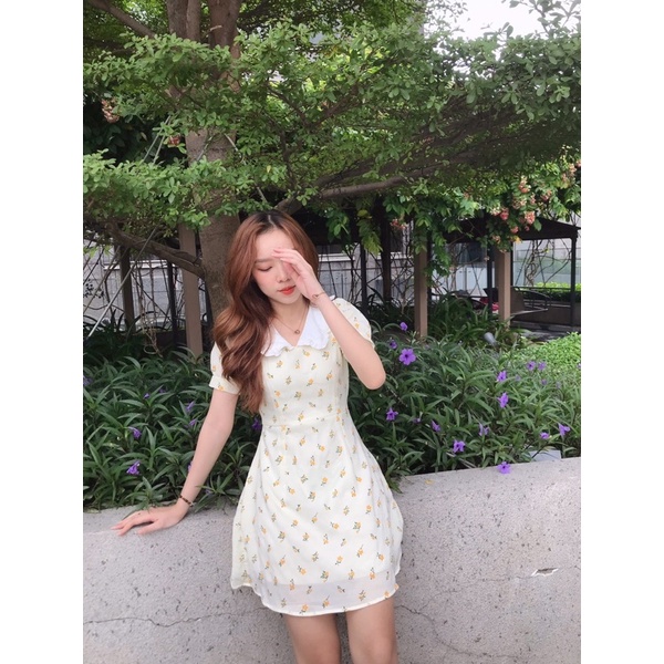 Đầm hoa bèo cổ