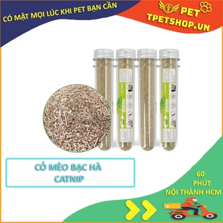 CỎ MÈO BẠC HÀ CATNIP