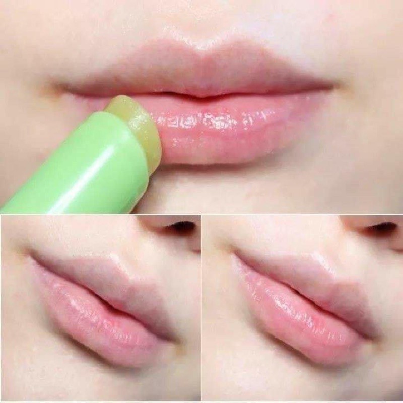 Son Dưỡng Trà Xanh Mật Ong Innisfree Green Tea Lip Balm