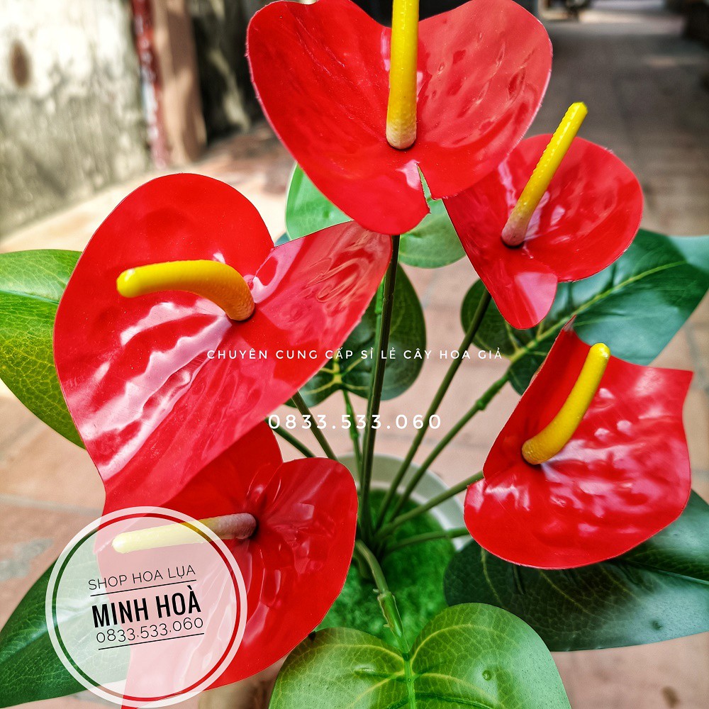 Cây hoa giả - Cây Hồng Môn Đỏ 5 bông, cao 35cm - Chậu cây để bàn trang trí nhà cửa, văn phòng