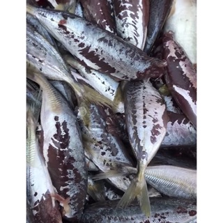 1kg Cá nục lột da 1 nắng (hoả tốc 2h tphcm)