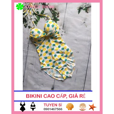 Set Bộ Đồ Quần Áo Tập Bơi Đi Tắm Biển Nữ Monokini khóm vàng