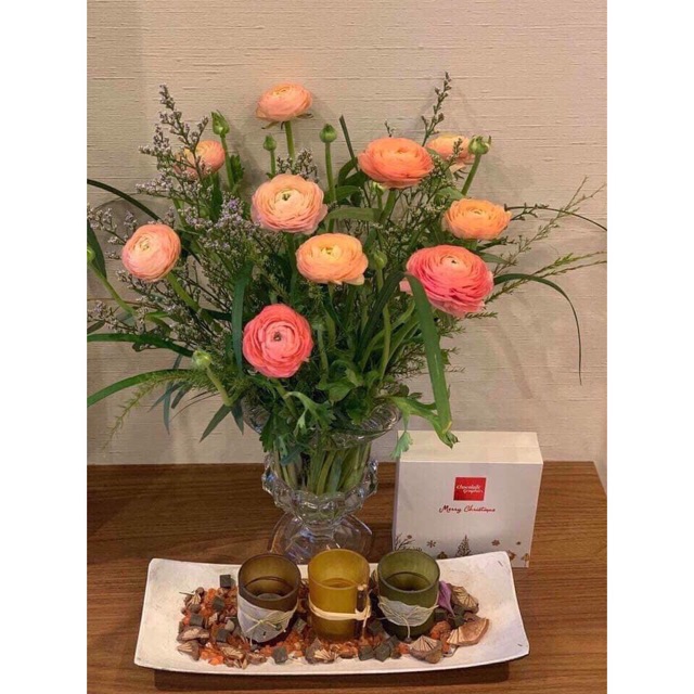 Ly bày phật thủ loại to