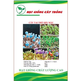Hạt giống cây tai thỏ mix màu ct506 - gói 50 hạt