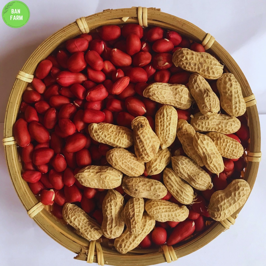 Đậu phộng đỏ  Banfarm đặc sản - thơm bùi béo 500g